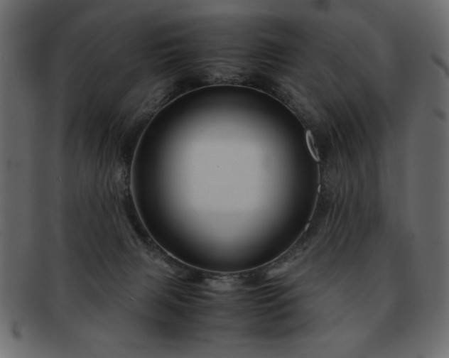 X0000093120079200709261336