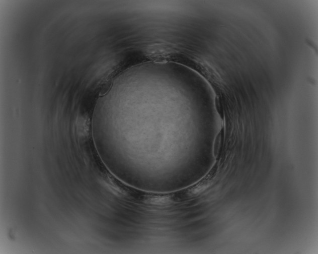 X0000093120081200709261336