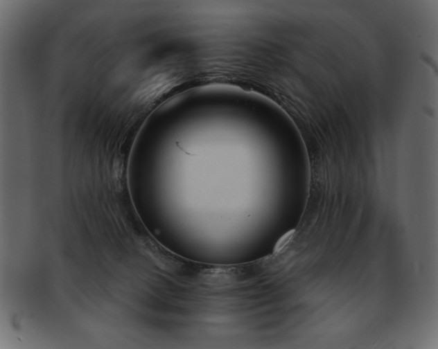 X0000093120082200709261336