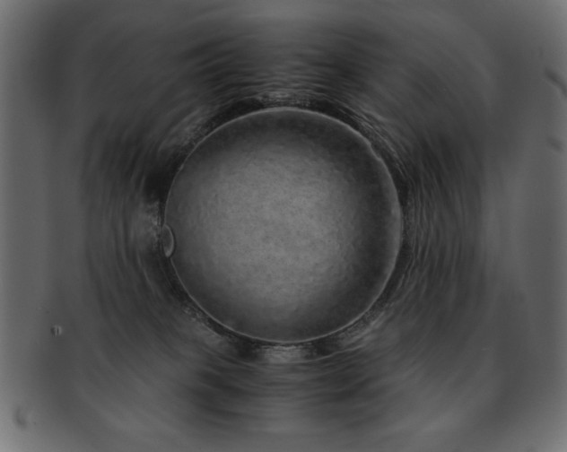 X0000093120085200709261336