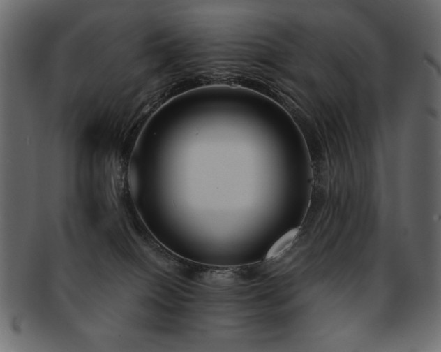 X0000093120086200709261336