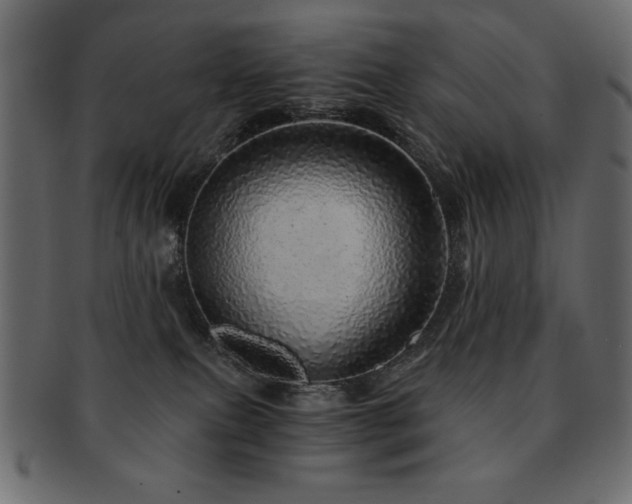 X0000093120087200709261336