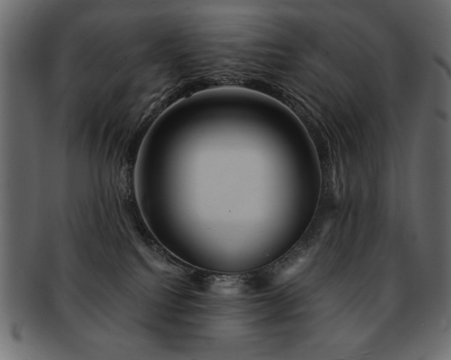 X0000093120088200709261336