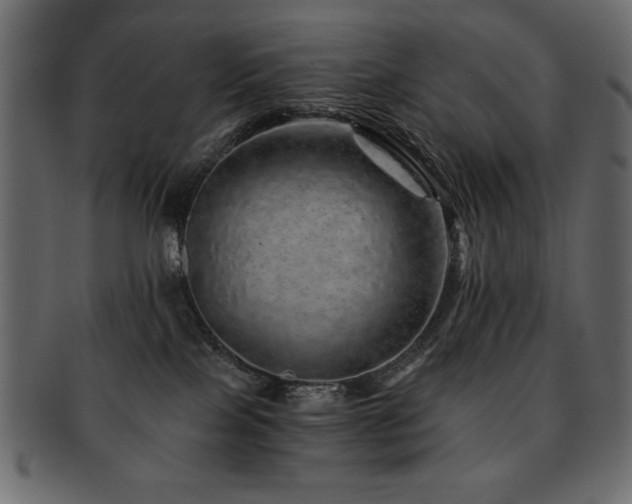 X0000093120089200709261336
