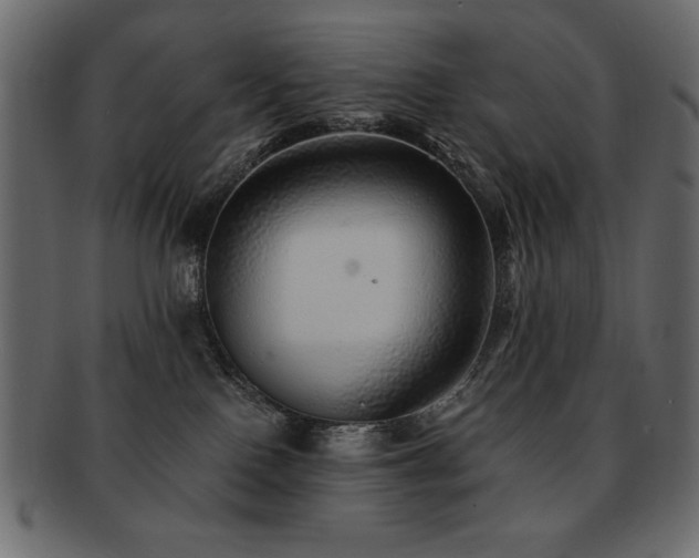 X0000093120090200709261336