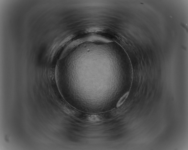 X0000093120091200709261336