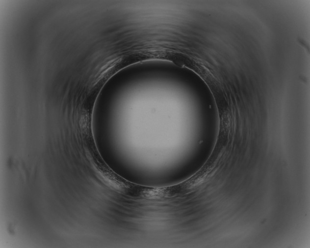 X0000093120092200709261336