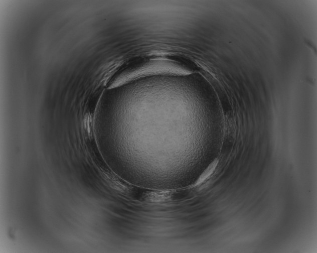 X0000093120094200709261336