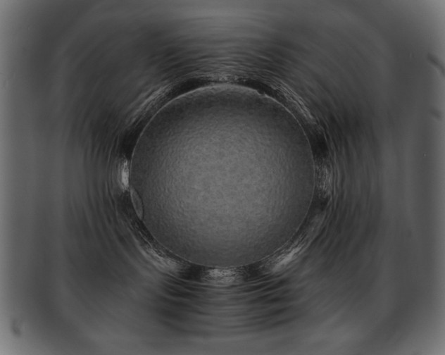 X0000093120095200709261336