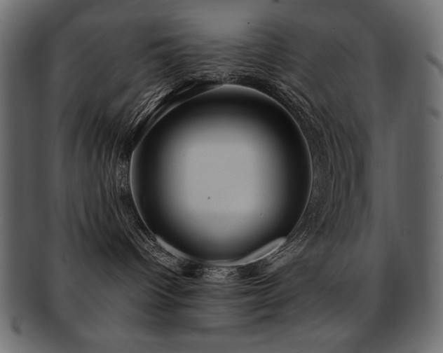 X0000093120096200709261336