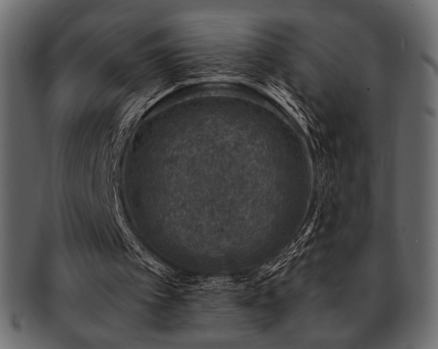 X0000093120097200709261336