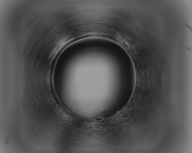 X0000093120098200709261336