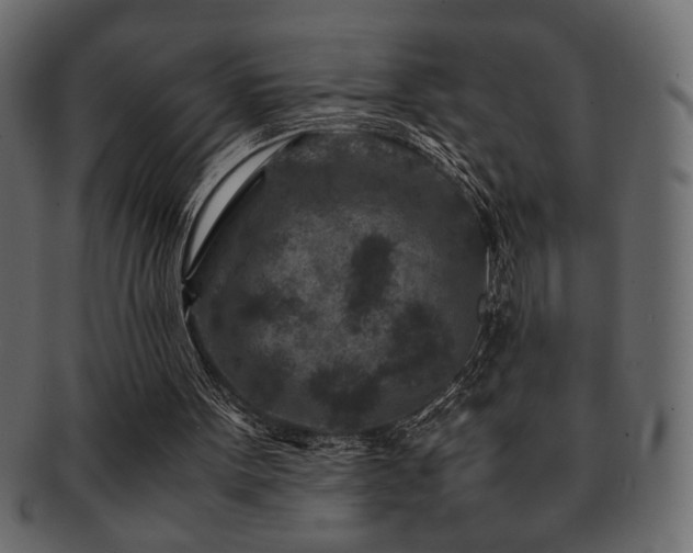 X0000093120099200709261336