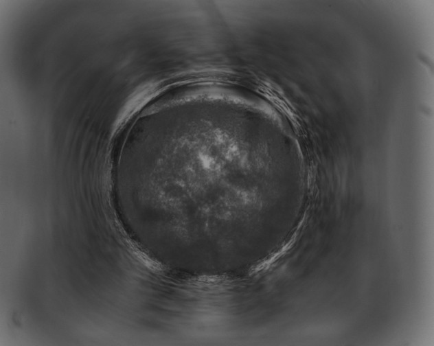 X0000093120101200709261335