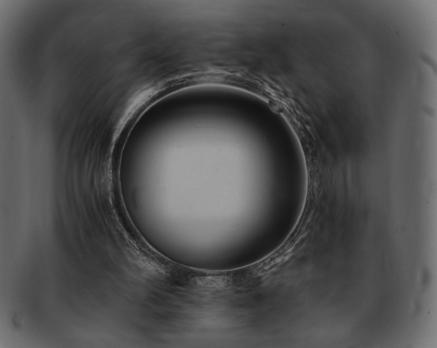 X0000093120102200709261335