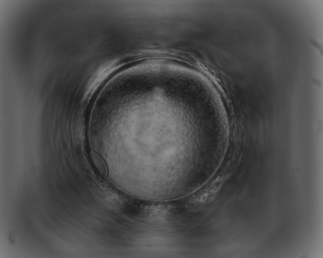 X0000093120103200709261335