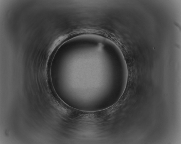 X0000093120104200709261335