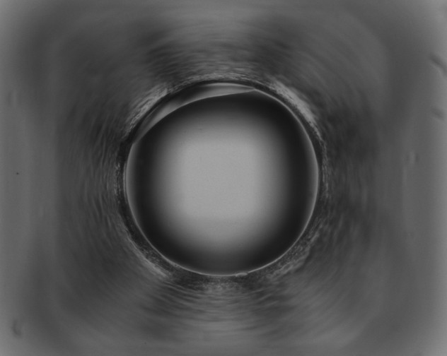 X0000093120105200709261335