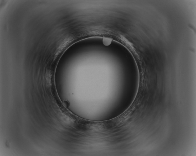X0000093120106200709261335