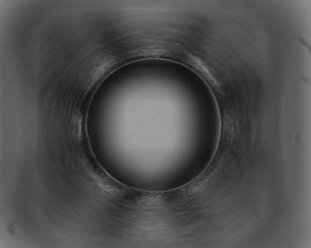 X0000093120110200709261335