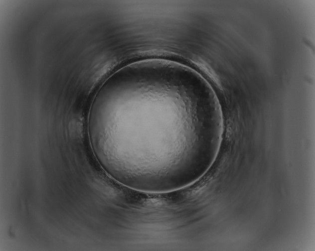 X0000093120111200709261335