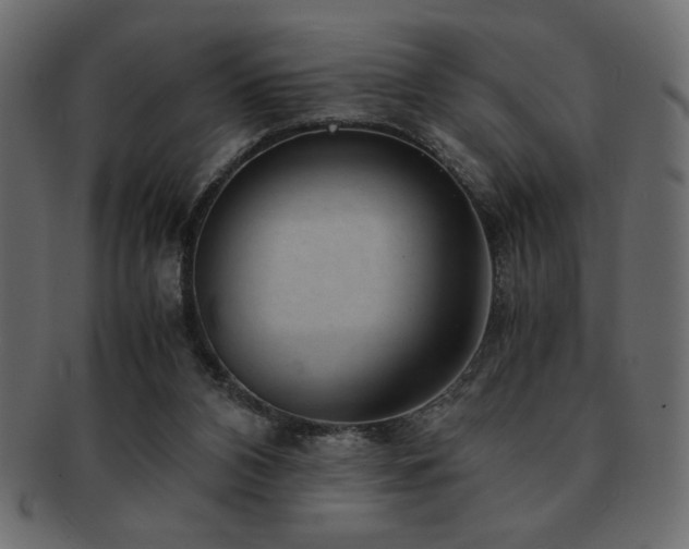 X0000093120112200709261335