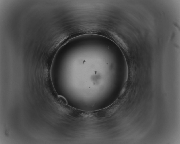 X0000093120113200709261335