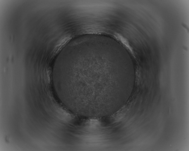 X0000093120114200709261335