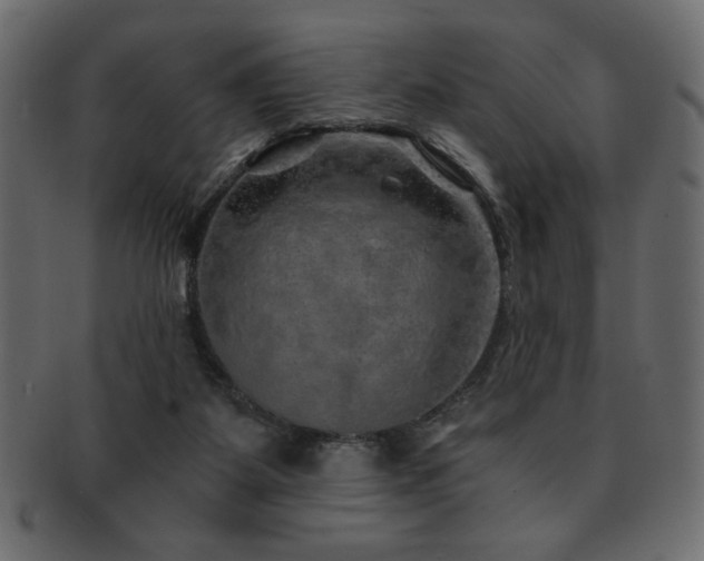 X0000093120115200709261335