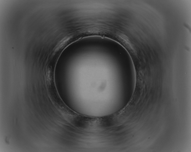 X0000093120116200709261335