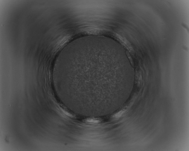 X0000093120117200709261335