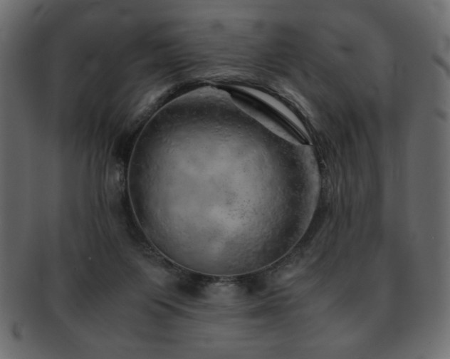 X0000093120119200709261335