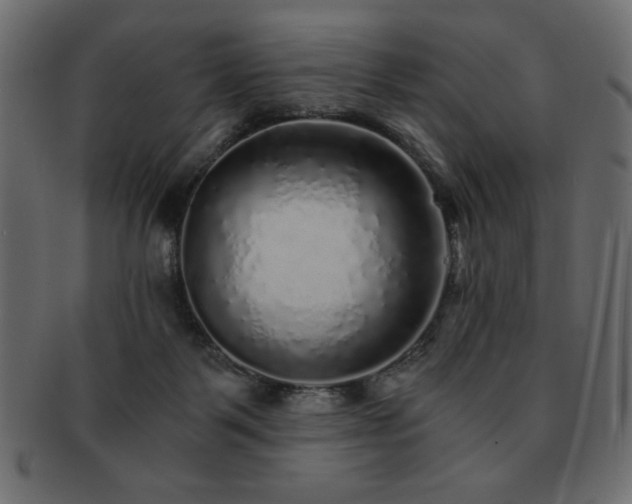 X0000093120123200709261335