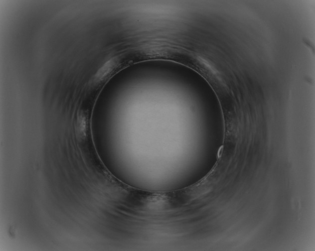 X0000093120124200709261335