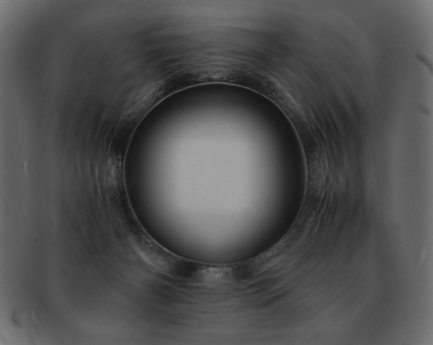 X0000093120126200709261335