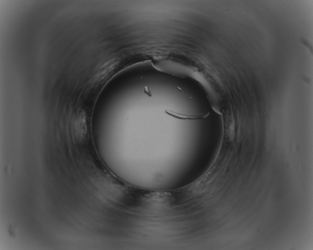 X0000093120128200709261335