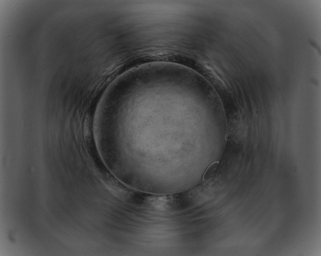 X0000093120131200709261335