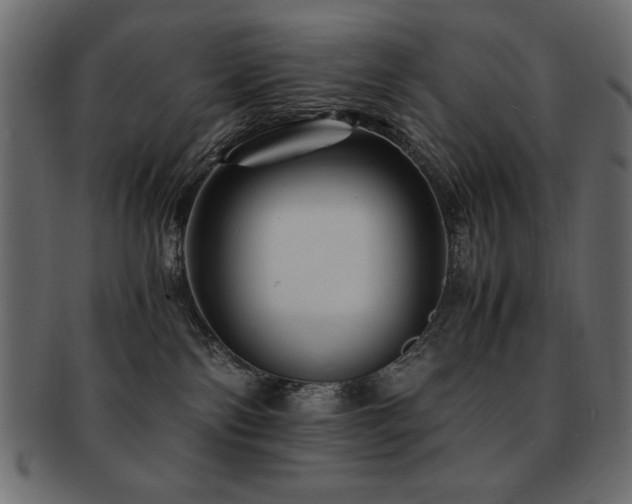 X0000093120138200709261335