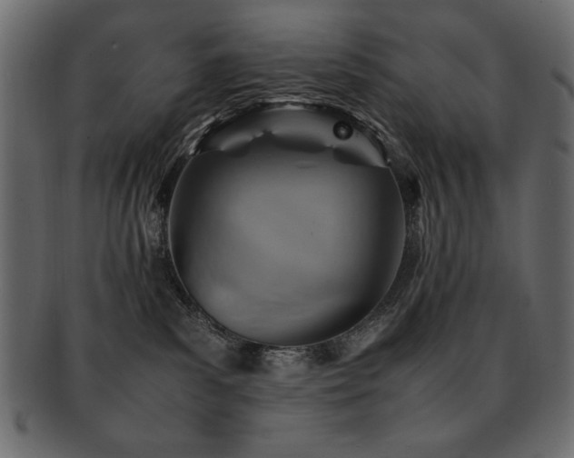 X0000093120139200709261335