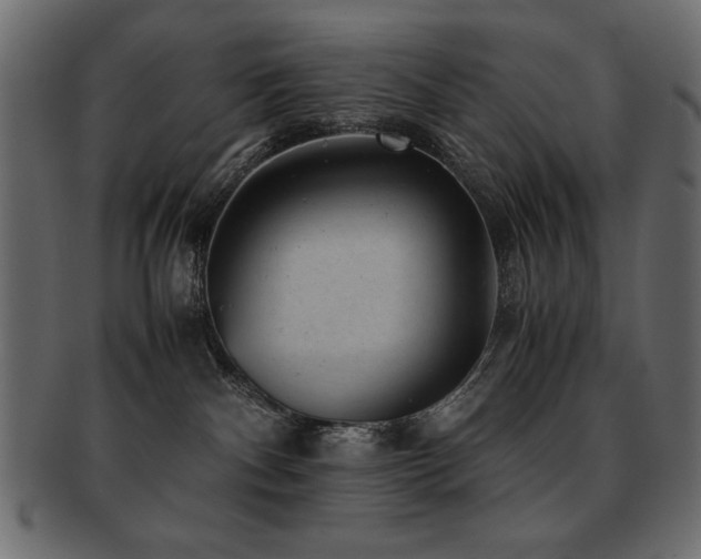 X0000093120140200709261335
