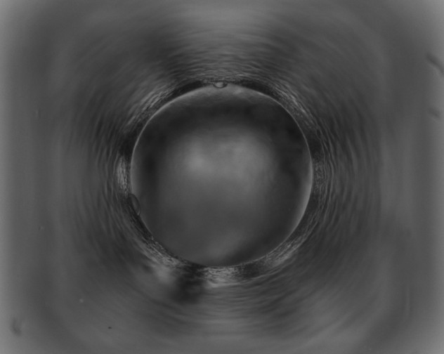 X0000093120143200709261335