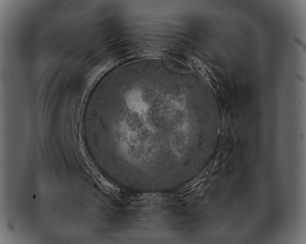 X0000093120145200709261334