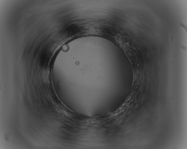 X0000093120146200709261334
