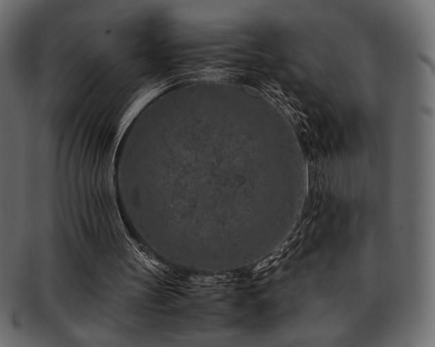 X0000093120147200709261334