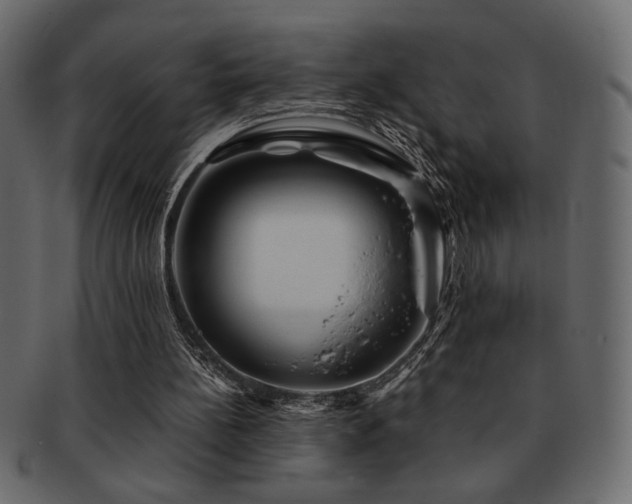 X0000093120148200709261334