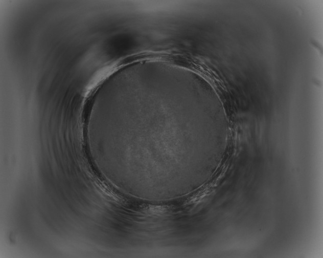 X0000093120149200709261334