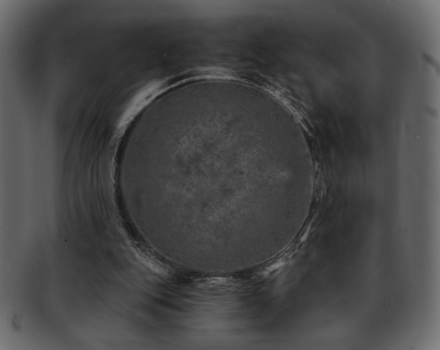 X0000093120151200709261334