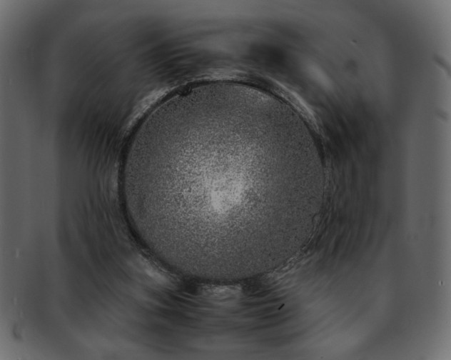 X0000093120155200709261335