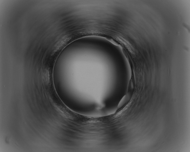 X0000093120158200709261335