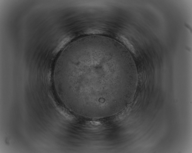 X0000093120159200709261335